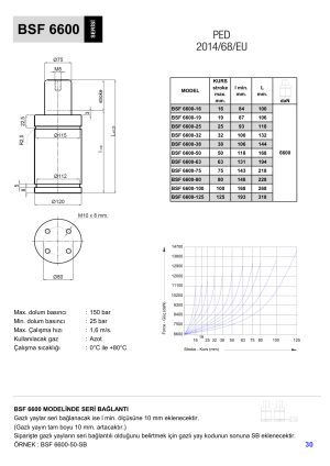BSF 6600 SERI