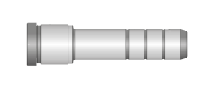 D02 Kolon