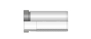 D20 Burç